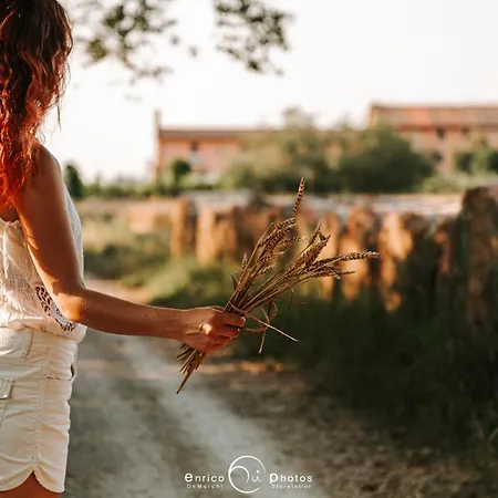 La Restera Del Sile * Casale sul Sile